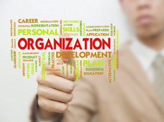 Organization-development | image by: basketman הטמעת שינויים ארגוניים
