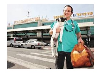 ד ד
