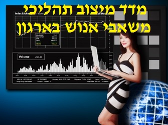 תהליך בניית מדד תהליכי מצוינות משאבי אנוש בארגון מדד תהליכי משאבי אנוש בארגון