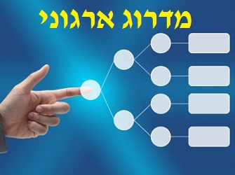 אסף ארנרייך: "תהליך מדרוג ארגוני יכול וצריך להיות פשוט" מדרוג ארגוני