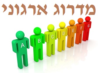 ארכיטקטורת משרות – תהליך מדרוג ארגוני מדרוג ארגוני