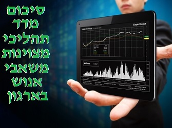 מדדי מצוינות משאבי אנוש בארגון – סיכום הממצאים סיכום מדד תהליכי מצוינות משאבי אנוש בארגון