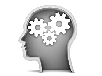 "רק 25% מההצלחה בעבודה מנובאת על ידי רמת ה-IQ" מדעי המוח וניהול עובדים