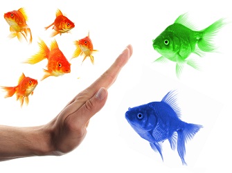 סינון מועמדים לעבודה | Image by: shutterstock סינון מועמדים לעבודה