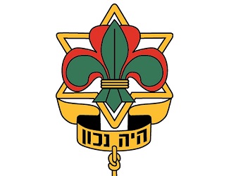 הצופים
