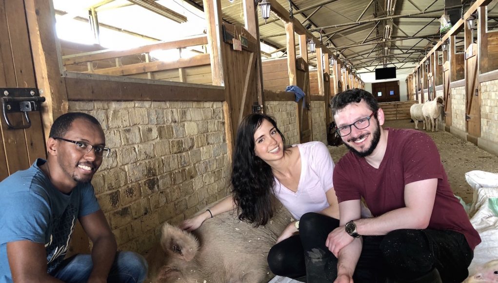 עובדי חברת אסנס מתנדבים בחוות החופש עובדי חברת אסנס מתנדבים בחוות החופש
