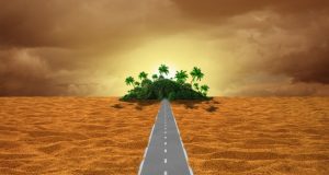 הנגשת טבעונות לעובדים: איך תורם תו ויגן-פרנדלי לארגונים ולסביבה