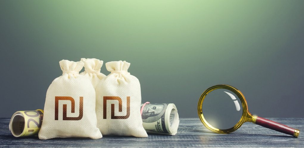 Israeli,Shekel,Money,Bags,And,Magnifying,Glass.,Budget,Revision.,Monitoring