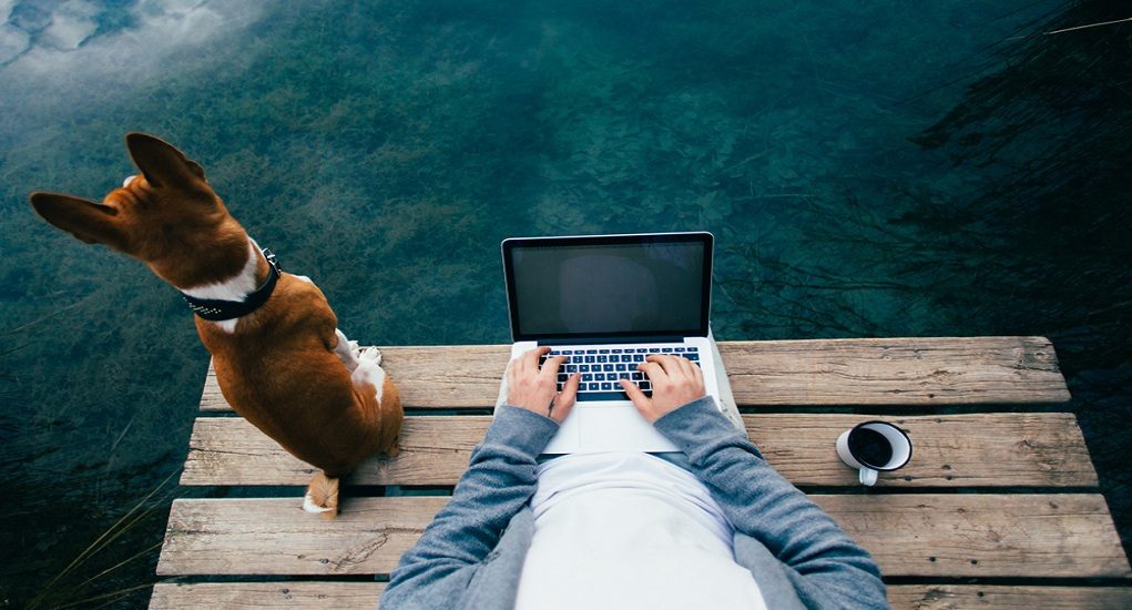Pov,Shot,Of,Remote,Office,Worker,Chill,With,Dog,On