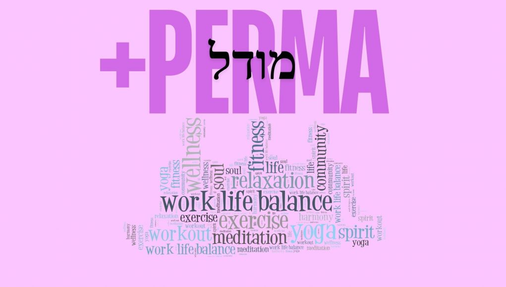 מודל ה- PERMA+ מודל ה- PERMA+