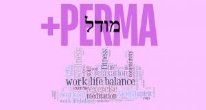 Wellbeing מיטבי בעולם העבודה החדש מודל ה- PERMA+