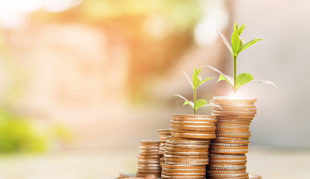 Step,Of,Coins,Stacks,With,Tree,Growing,On,Top,,Nature